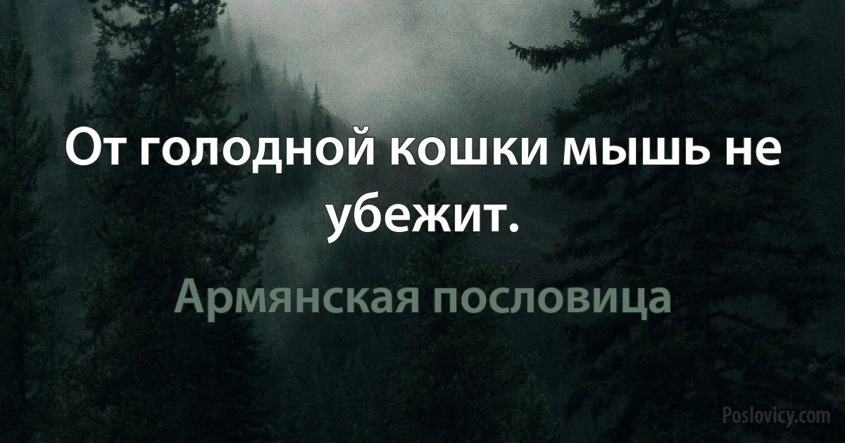 От голодной кошки мышь не убежит. (Армянская пословица)