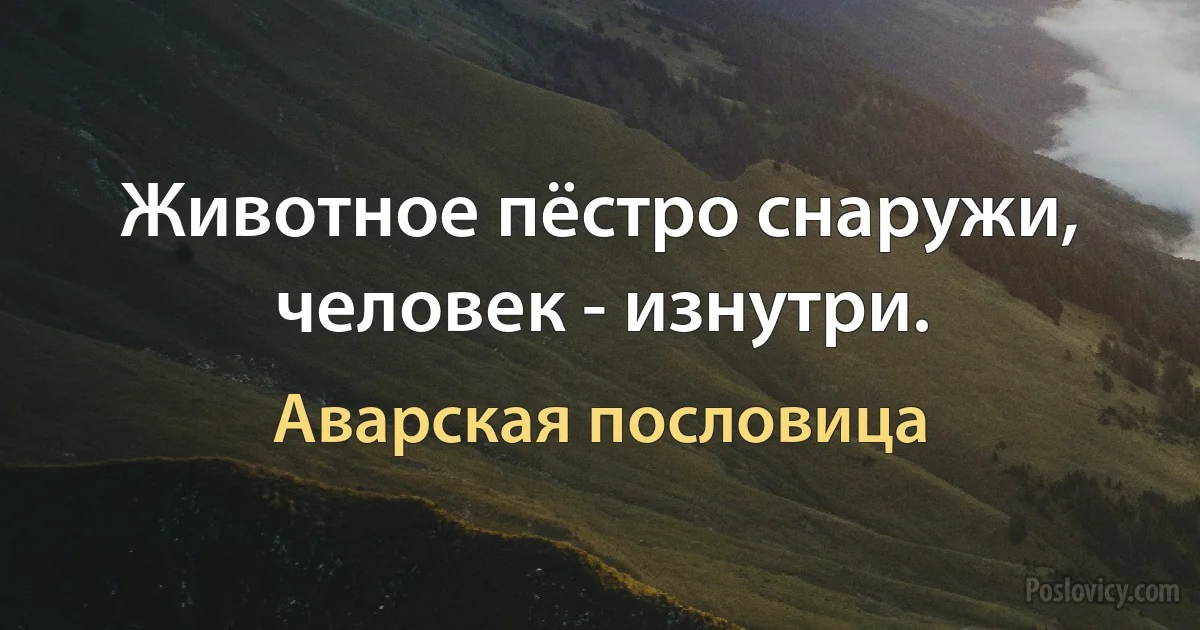 Животное пёстро снаружи, человек - изнутри. (Аварская пословица)