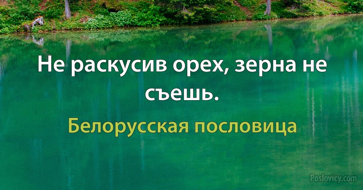 Не раскусив орех, зерна не съешь. (Белорусская пословица)