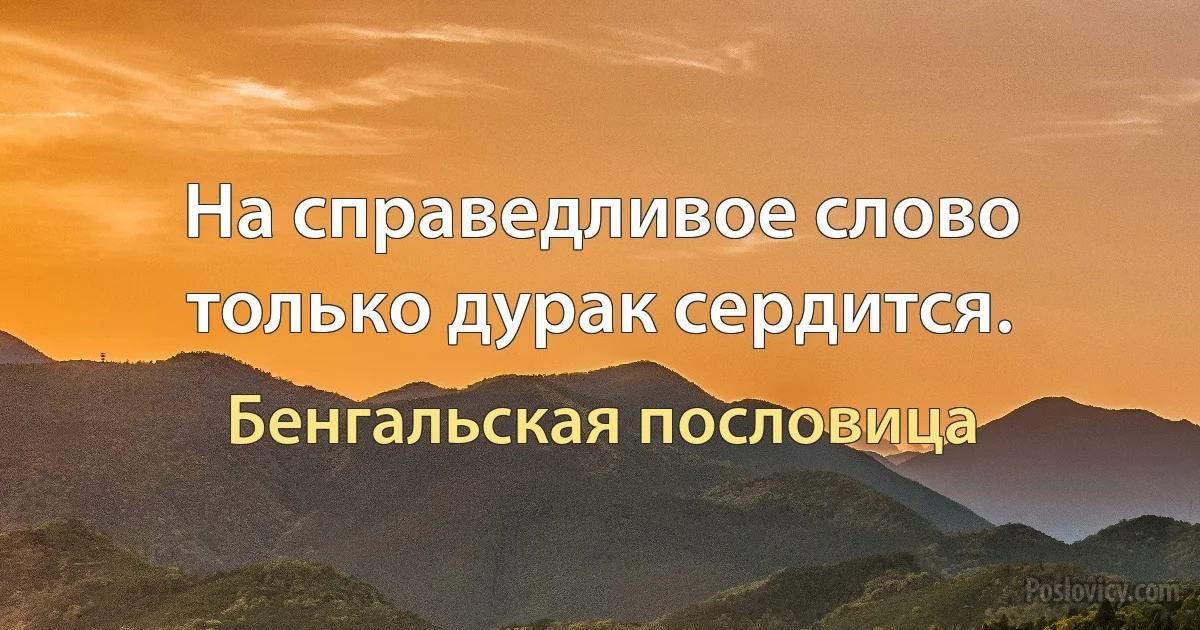 На справедливое слово только дурак сердится. (Бенгальская пословица)