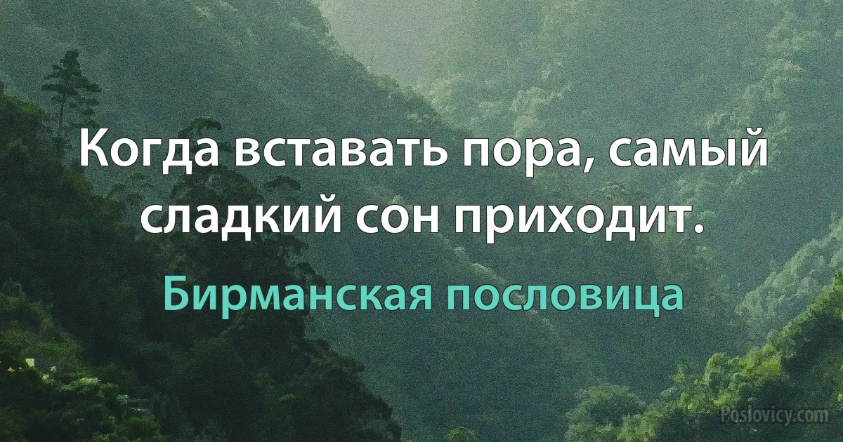 Когда вставать пора, самый сладкий сон приходит. (Бирманская пословица)