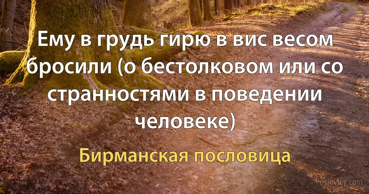 Ему в грудь гирю в вис весом бросили (о бестолковом или со странностями в поведении человеке) (Бирманская пословица)