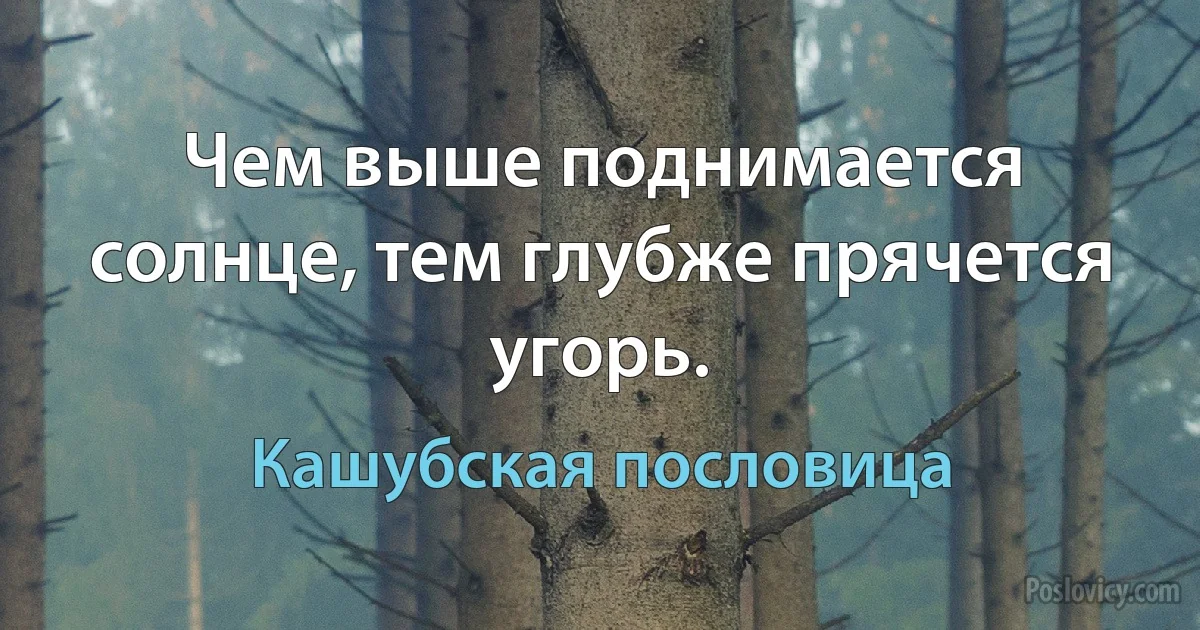 Чем выше поднимается солнце, тем глубже прячется угорь. (Кашубская пословица)