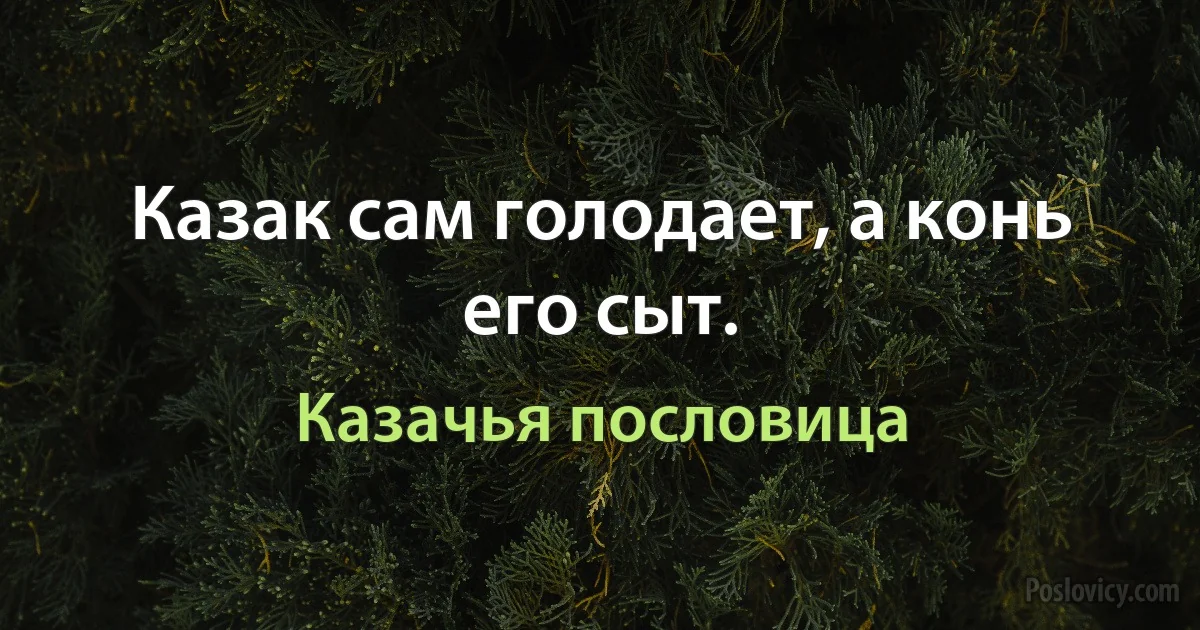 Казак сам голодает, а конь его сыт. (Казачья пословица)