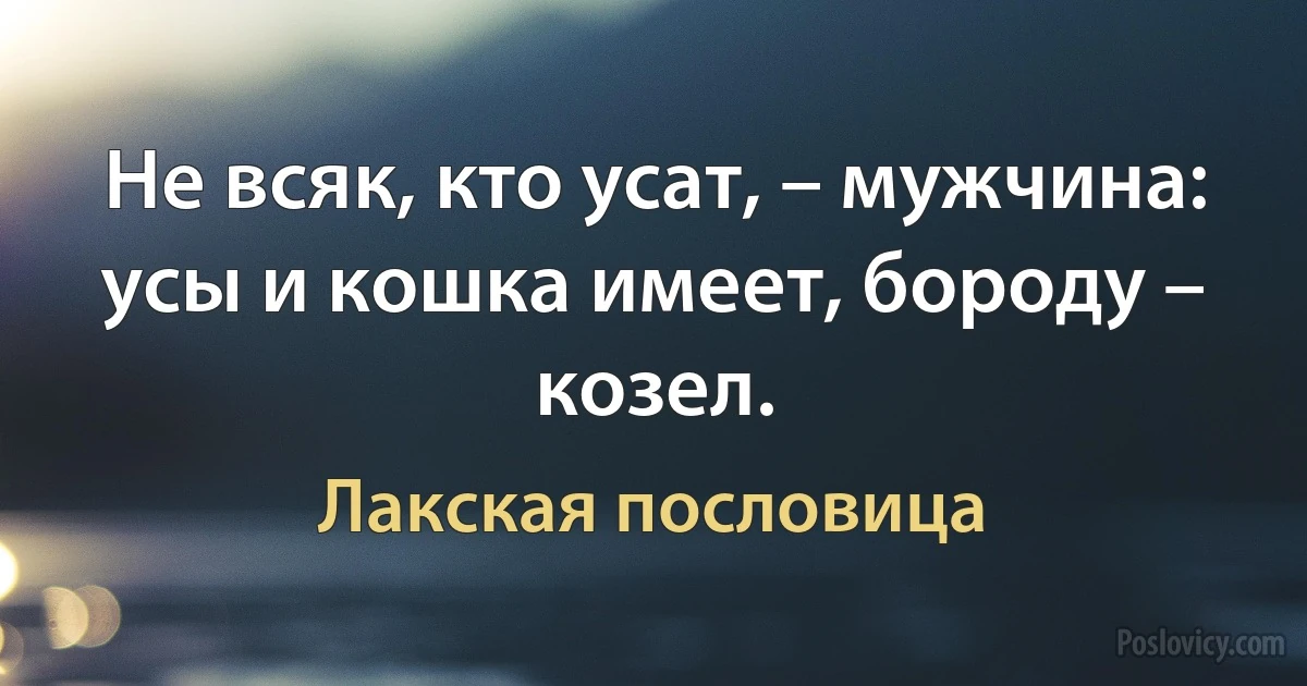 Не всяк, кто усат, – мужчина: усы и кошка имеет, бороду – козел. (Лакская пословица)