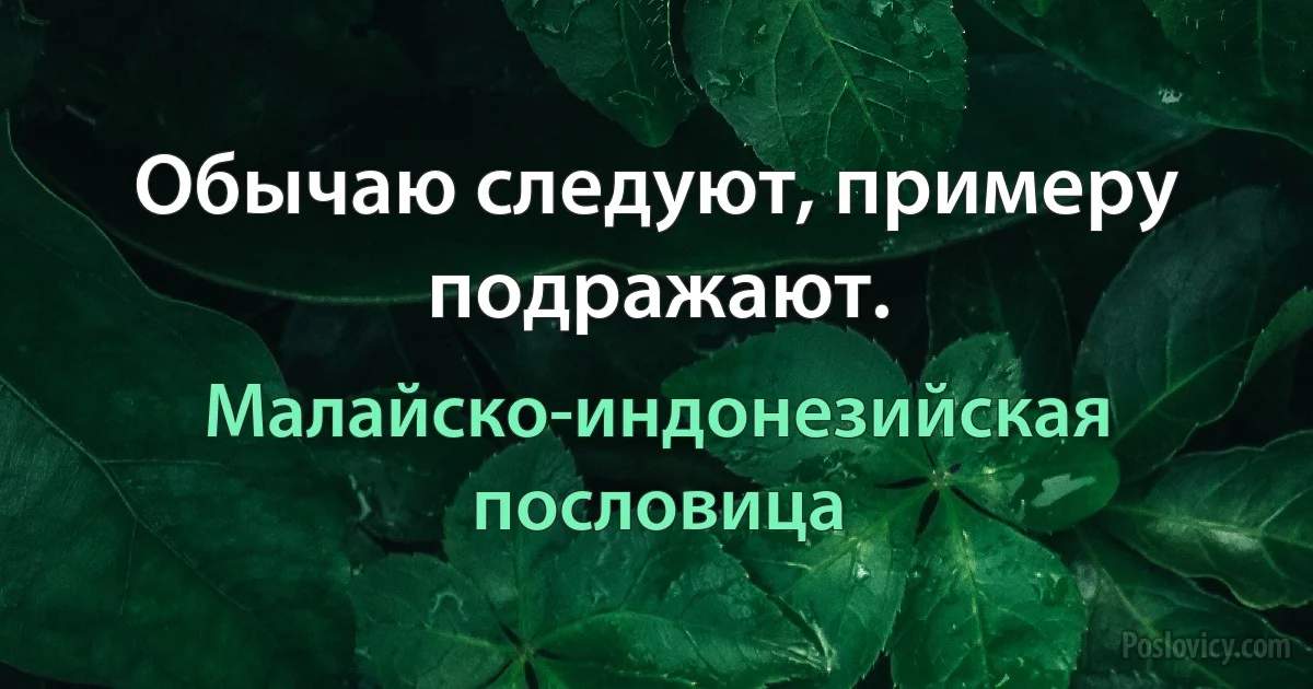 Обычаю следуют, примеру подражают. (Малайско-индонезийская пословица)