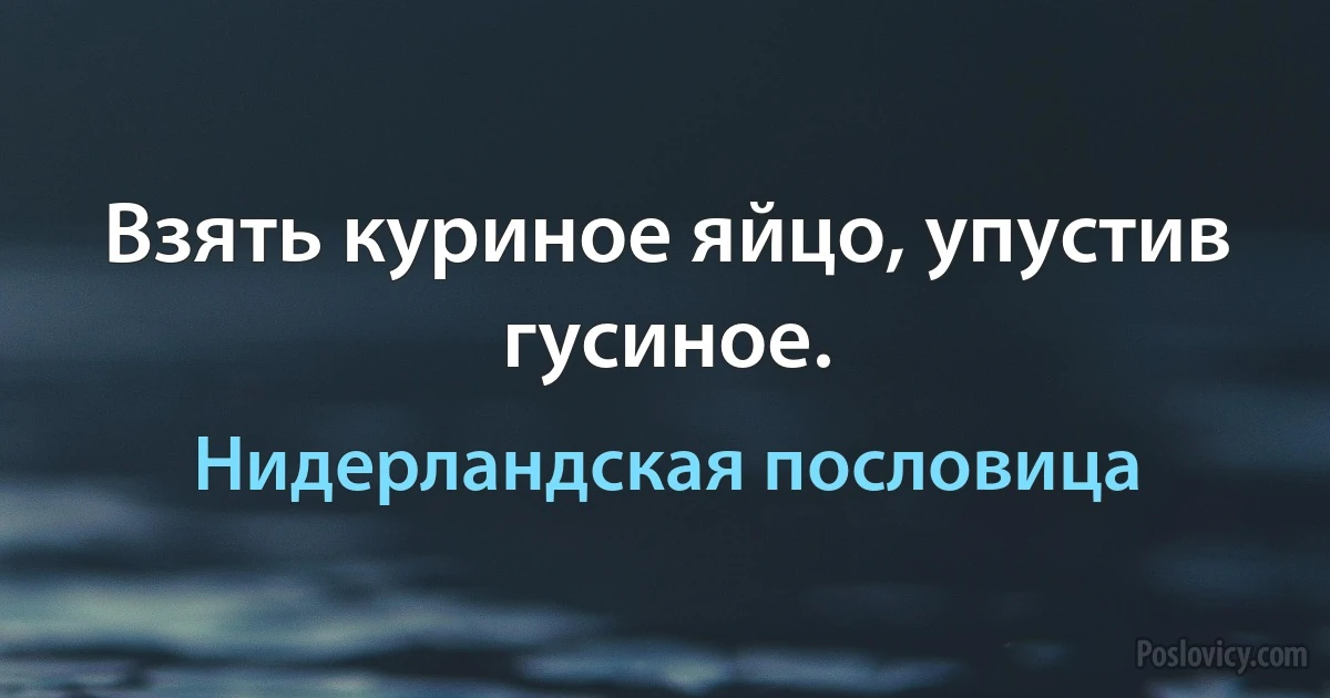 Взять куриное яйцо, упустив гусиное. (Нидерландская пословица)