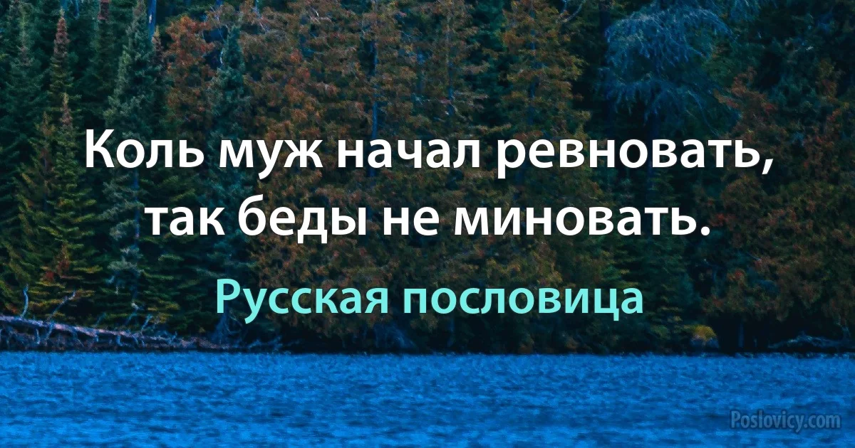 Коль муж начал ревновать, так беды не миновать. (Русская пословица)