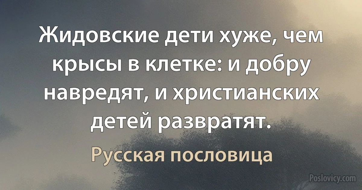 Жидовские дети хуже, чем крысы в клетке: и добру навредят, и христианских детей развратят. (Русская пословица)