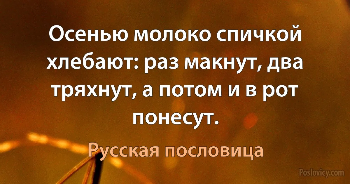 Осенью молоко спичкой хлебают: раз макнут, два тряхнут, а потом и в рот понесут. (Русская пословица)