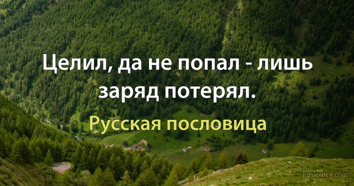 Целил, да не попал - лишь заряд потерял. (Русская пословица)