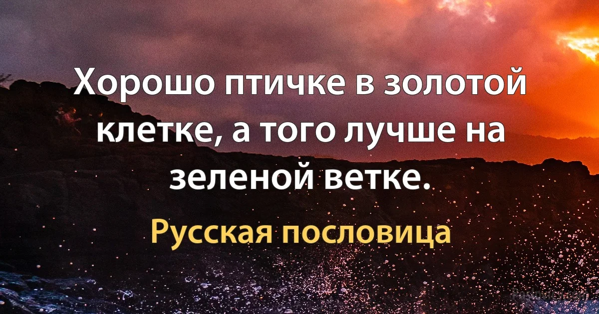 Хорошо птичке в золотой клетке, а того лучше на зеленой ветке. (Русская пословица)