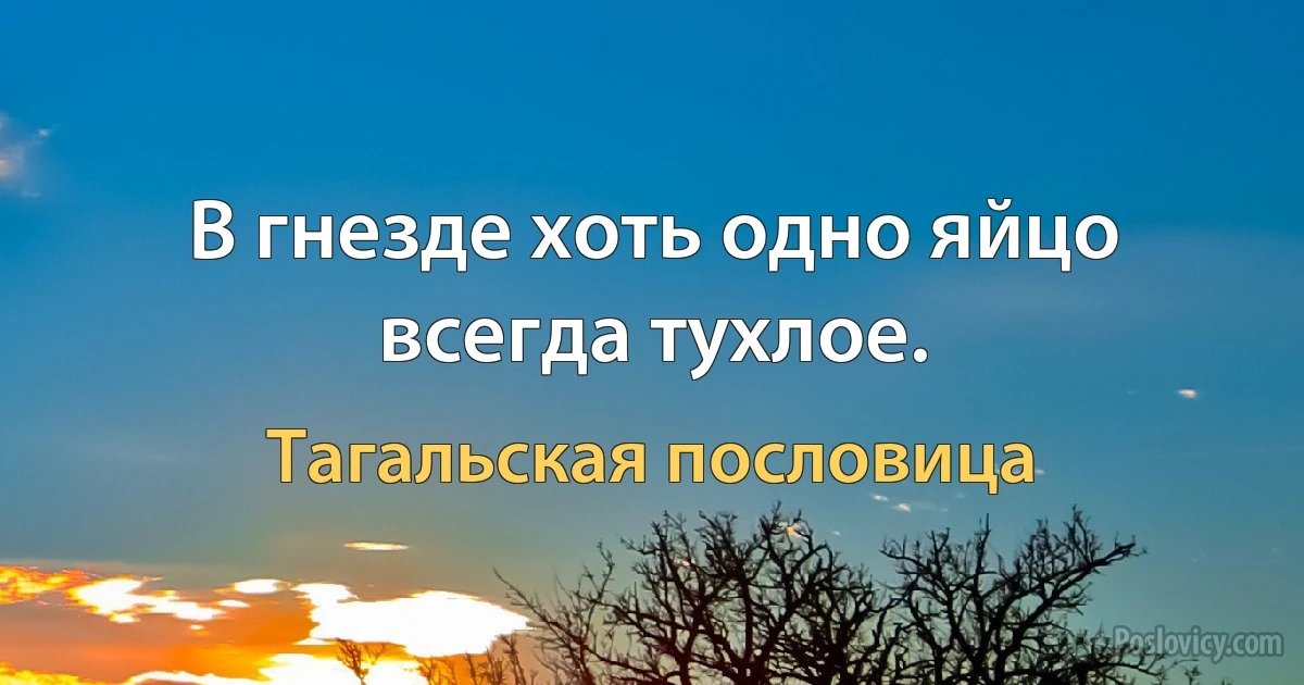 В гнезде хоть одно яйцо всегда тухлое. (Тагальская пословица)