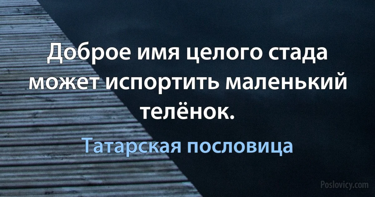 Доброе имя целого стада может испортить маленький телёнок. (Татарская пословица)