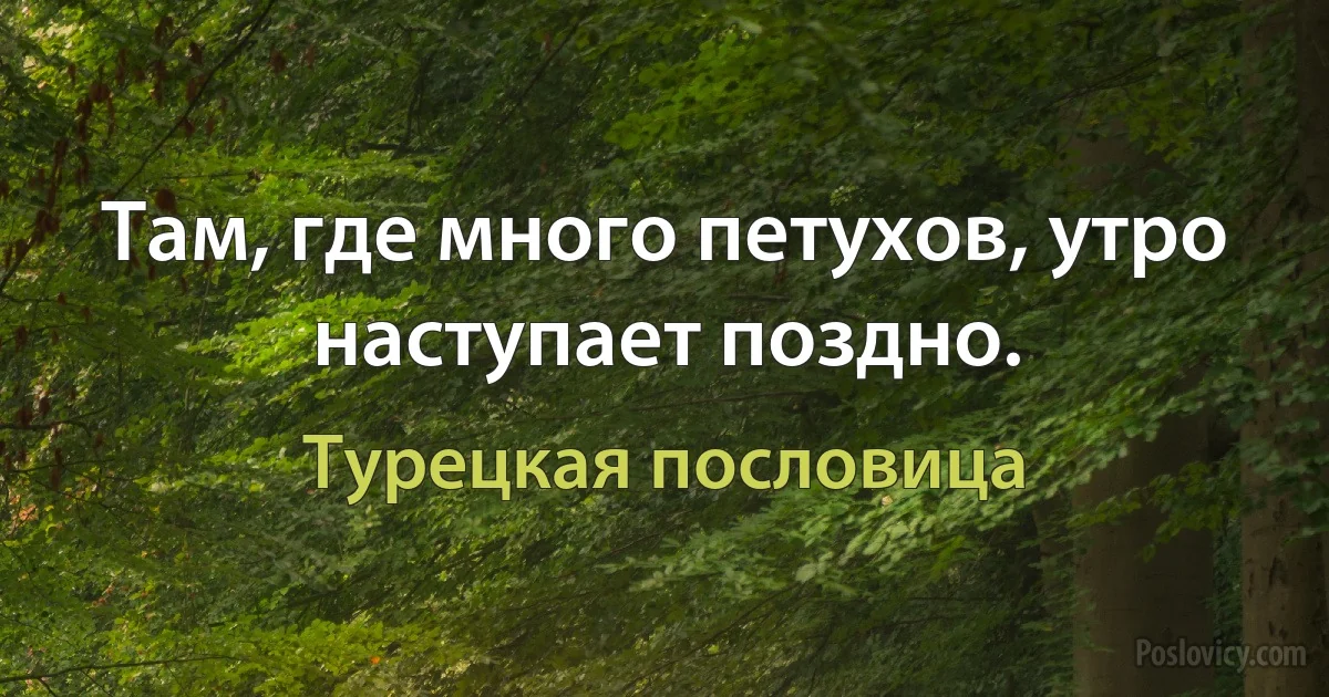 Там, где много петухов, утро наступает поздно. (Турецкая пословица)