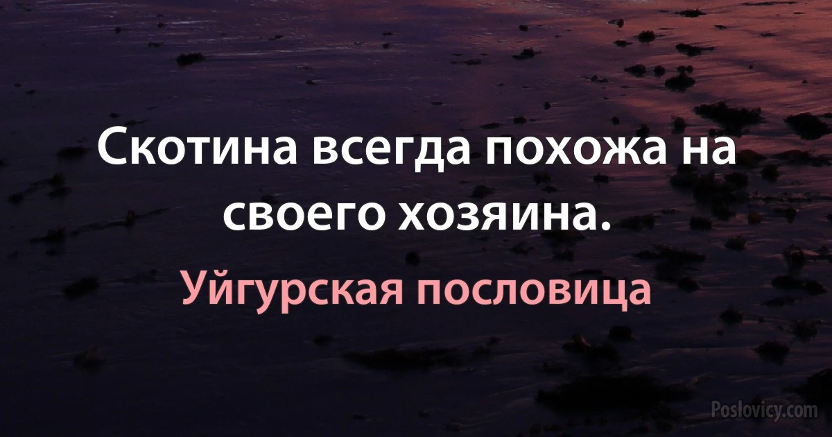 Скотина всегда похожа на своего хозяина. (Уйгурская пословица)