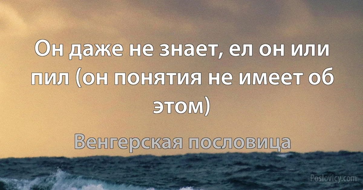 Он даже не знает, ел он или пил (он понятия не имеет об этом) (Венгерская пословица)