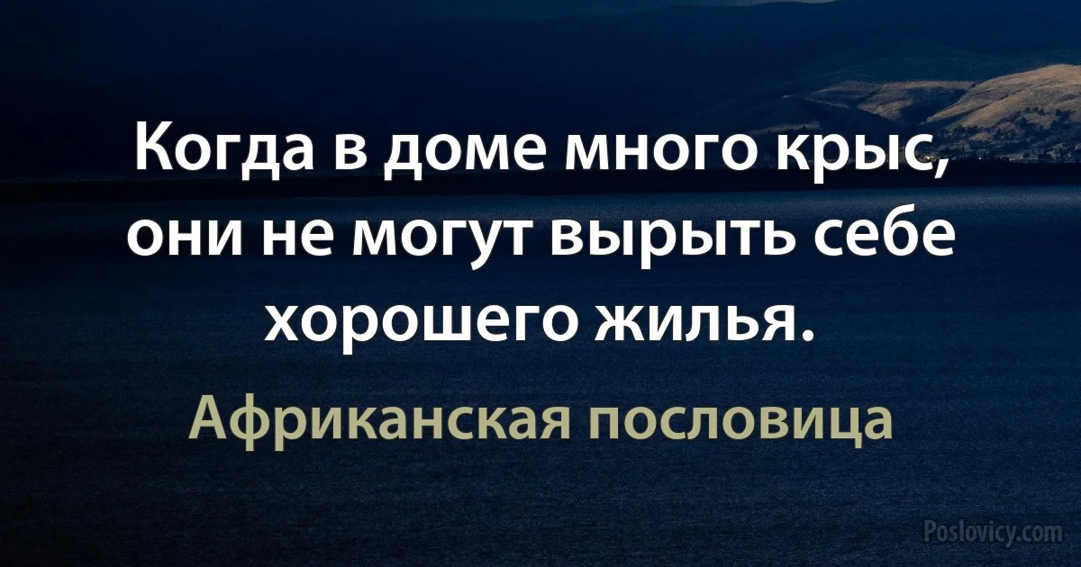 Когда в доме много крыс, они не могут вырыть себе хорошего жилья. (Африканская пословица)