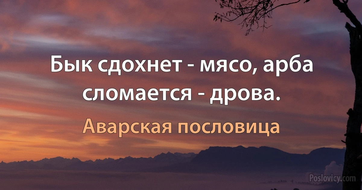 Бык сдохнет - мясо, арба сломается - дрова. (Аварская пословица)