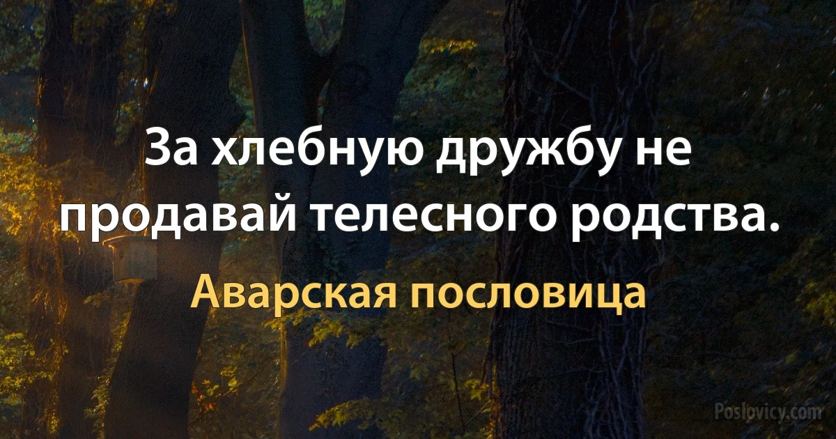 За хлебную дружбу не продавай телесного родства. (Аварская пословица)