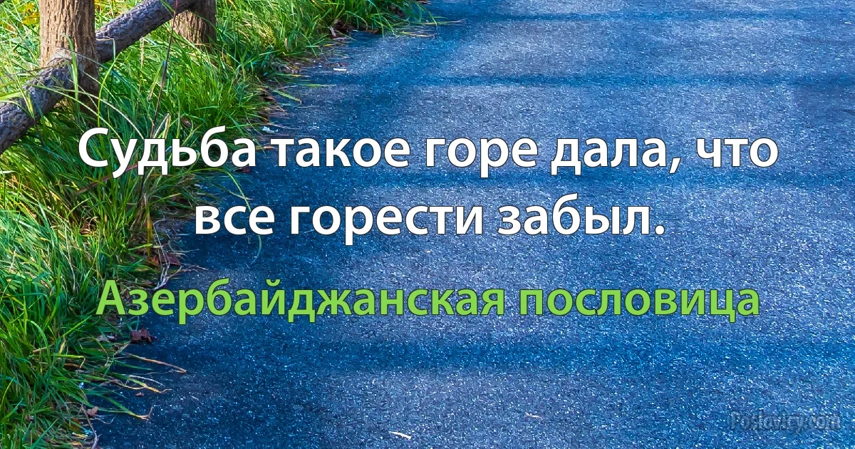 Судьба такое горе дала, что все горести забыл. (Азербайджанская пословица)