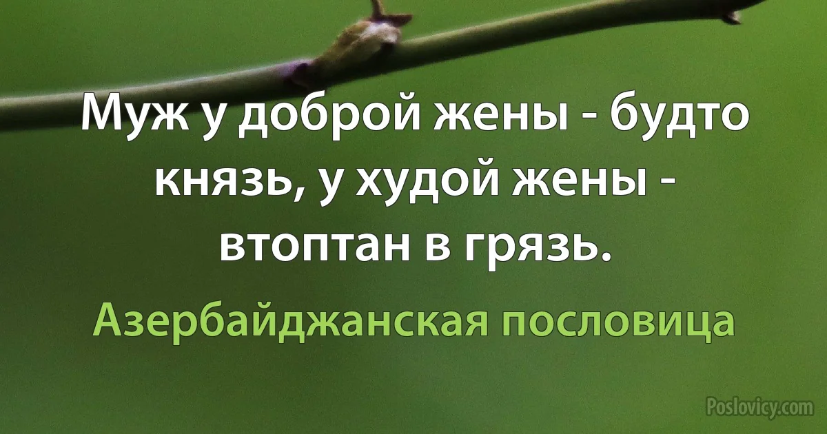 Муж у доброй жены - будто князь, у худой жены - втоптан в грязь. (Азербайджанская пословица)