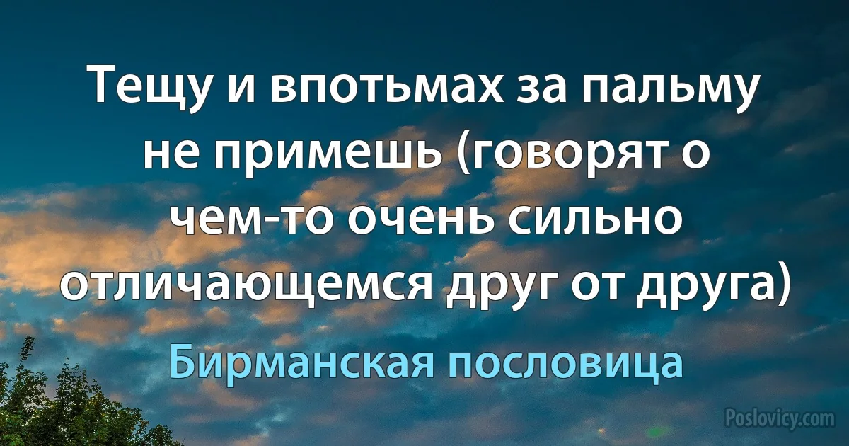 Тещу и впотьмах за пальму не примешь (говорят о чем-то очень сильно отличающемся друг от друга) (Бирманская пословица)