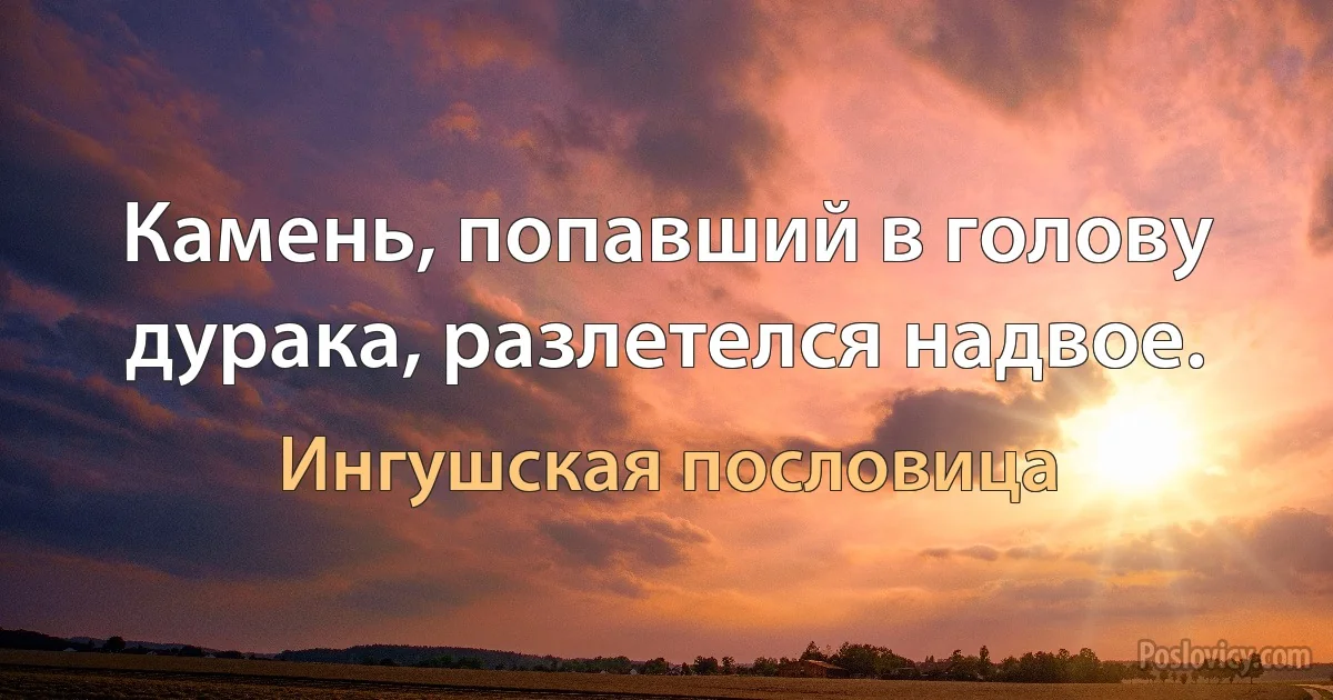 Камень, попавший в голову дурака, разлетелся надвое. (Ингушская пословица)