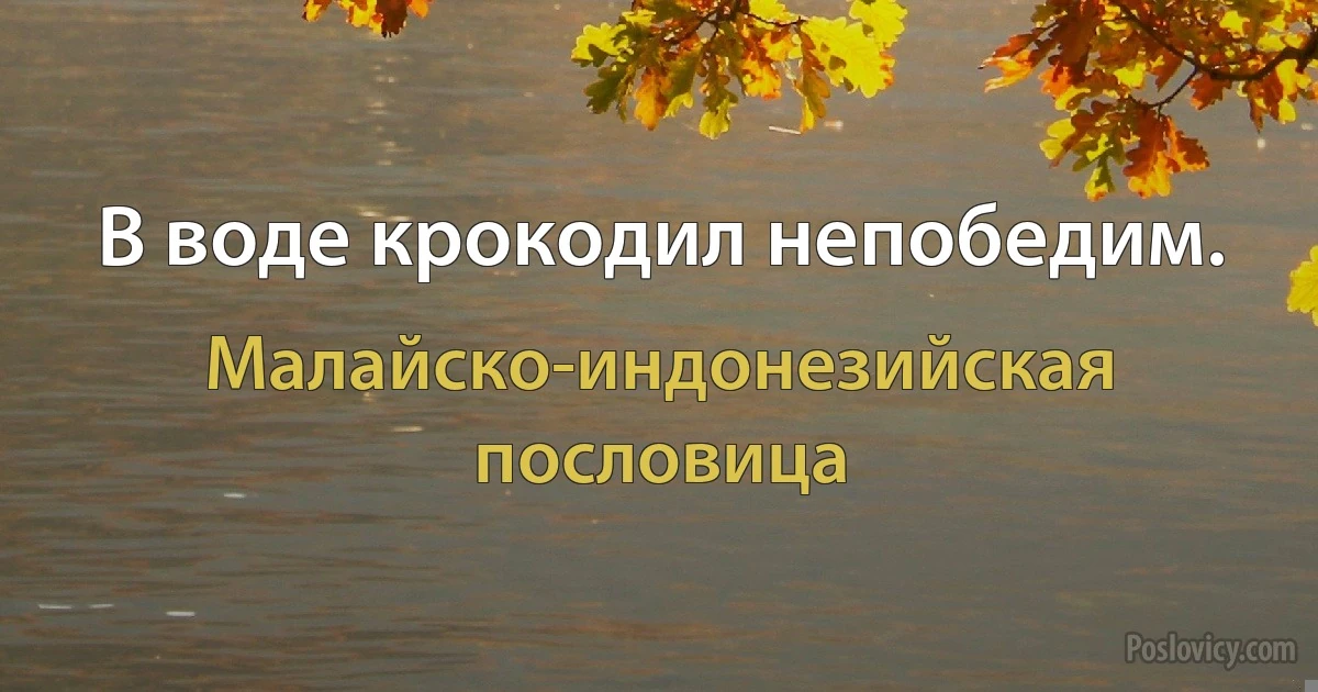 В воде крокодил непобедим. (Малайско-индонезийская пословица)