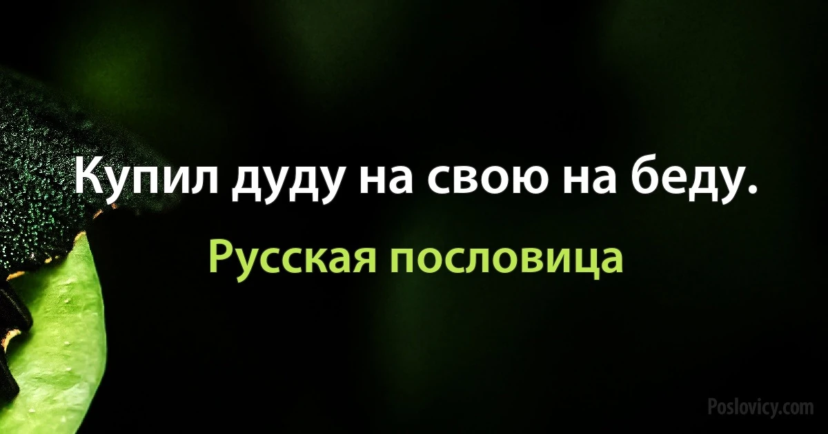 Купил дуду на свою на беду. (Русская пословица)