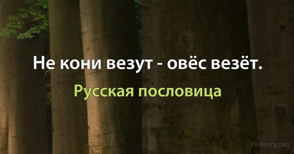 Не кони везут - овёс везёт. (Русская пословица)