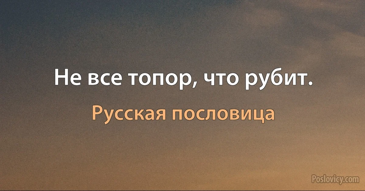 Не все топор, что рубит. (Русская пословица)