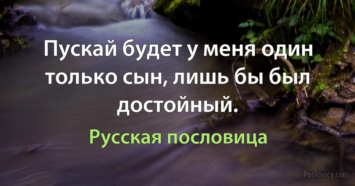 Пускай будет у меня один только сын, лишь бы был достойный. (Русская пословица)