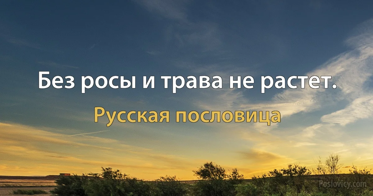 Без росы и трава не растет. (Русская пословица)