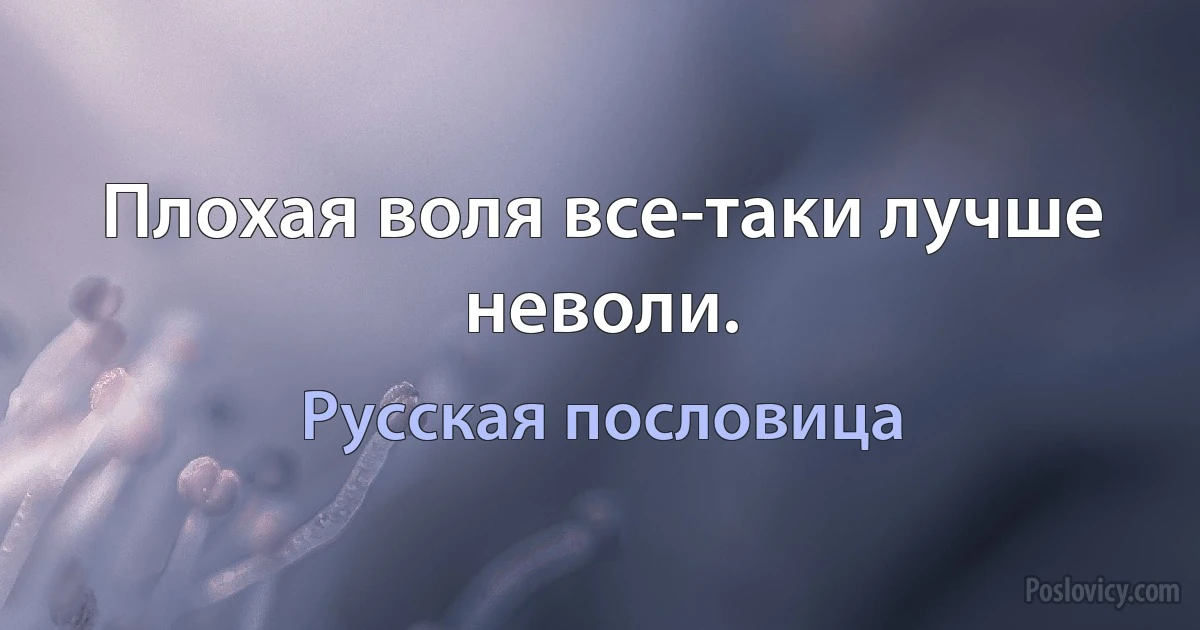 Плохая воля все-таки лучше неволи. (Русская пословица)