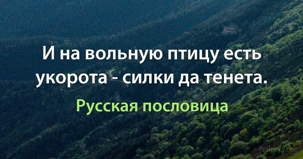 И на вольную птицу есть укорота - силки да тенета. (Русская пословица)