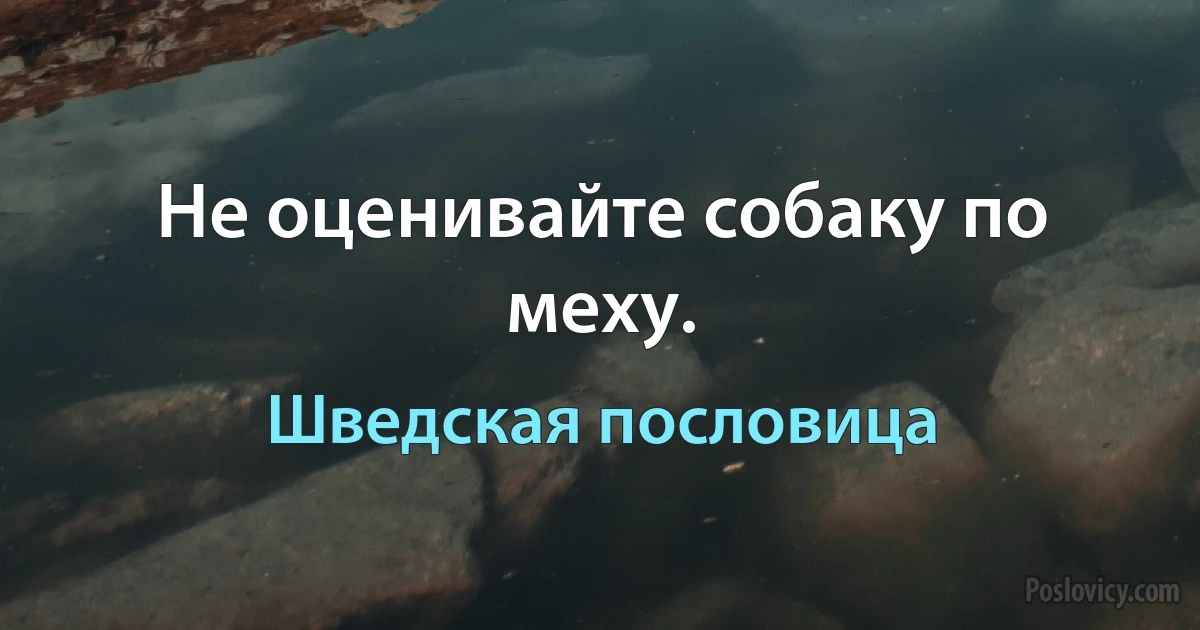 Не оценивайте собаку по меху. (Шведская пословица)