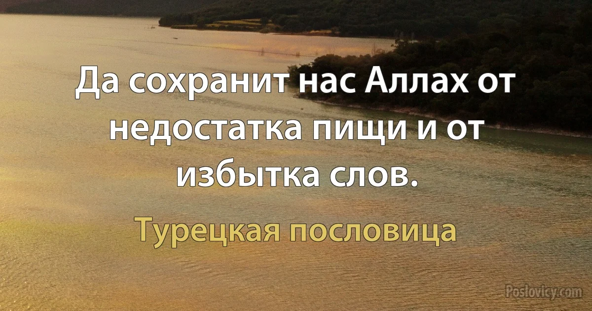 Да сохранит нас Аллах от недостатка пищи и от избытка слов. (Турецкая пословица)