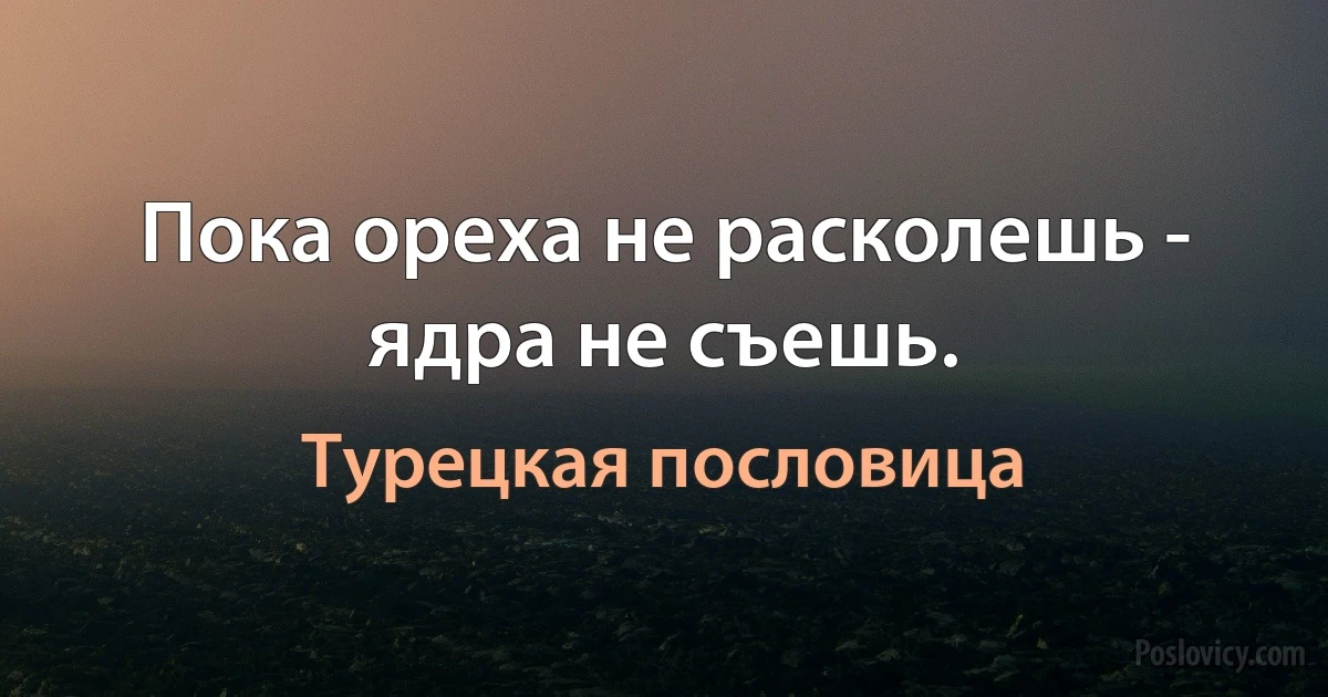 Пока ореха не расколешь - ядра не съешь. (Турецкая пословица)