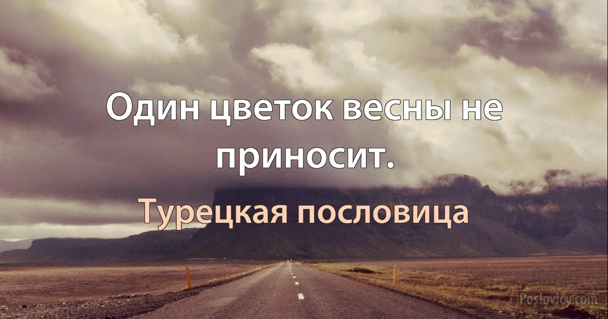 Один цветок весны не приносит. (Турецкая пословица)