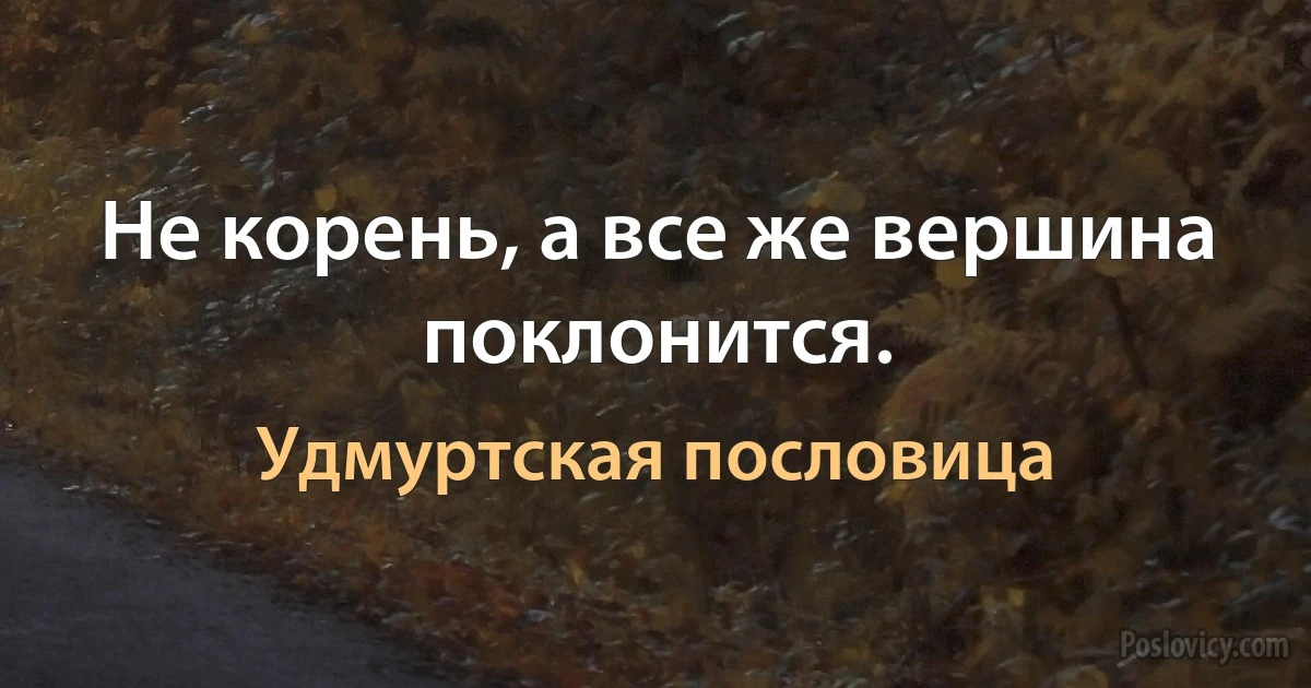 Не корень, а все же вершина поклонится. (Удмуртская пословица)