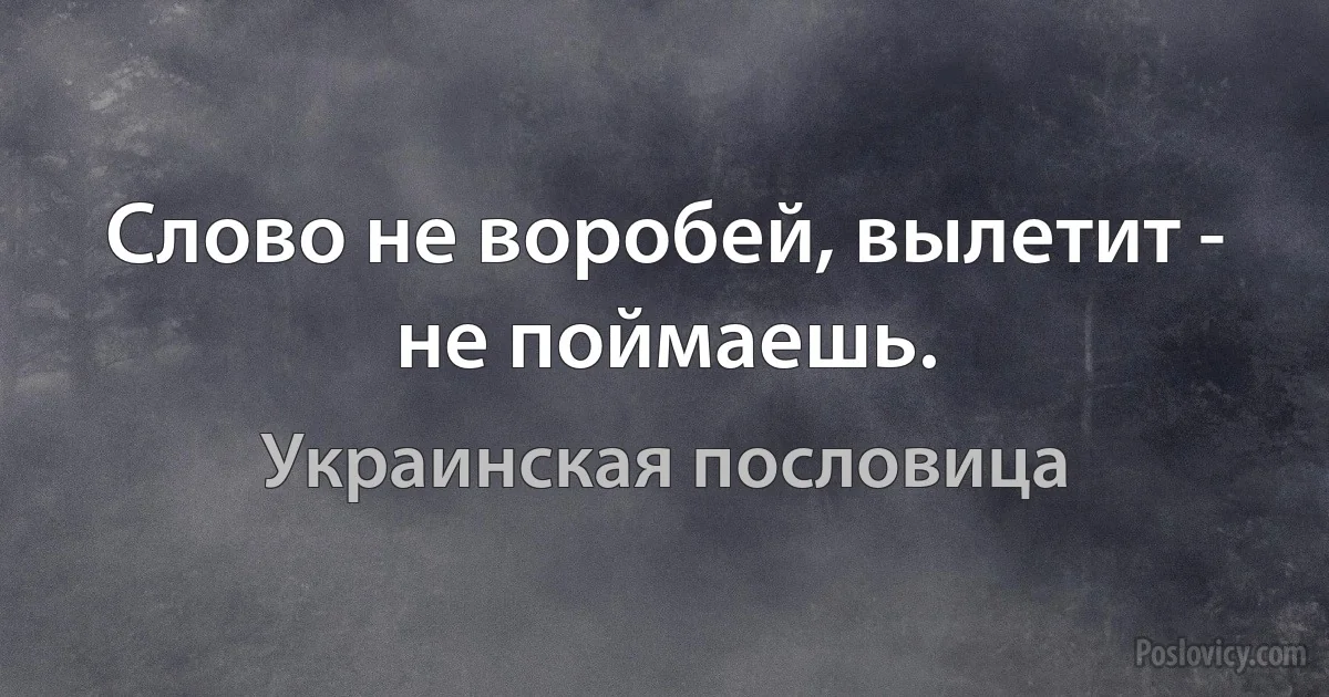 Слово не воробей, вылетит - не поймаешь. (Украинская пословица)