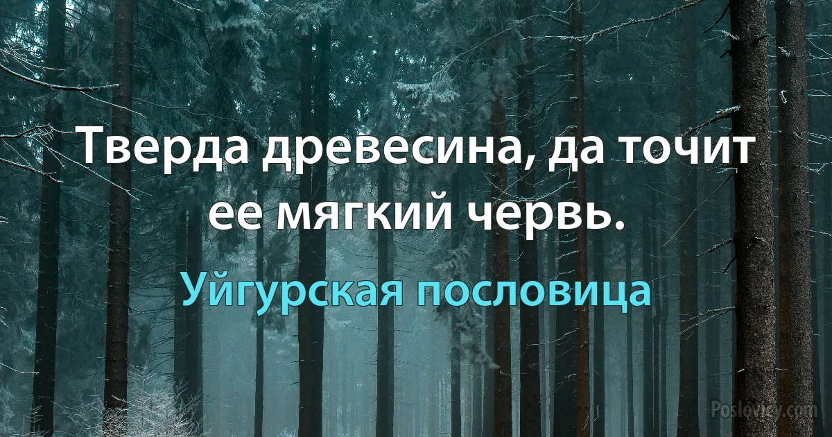 Тверда древесина, да точит ее мягкий червь. (Уйгурская пословица)