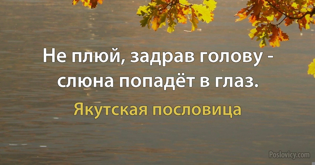 Не плюй, задрав голову - слюна попадёт в глаз. (Якутская пословица)