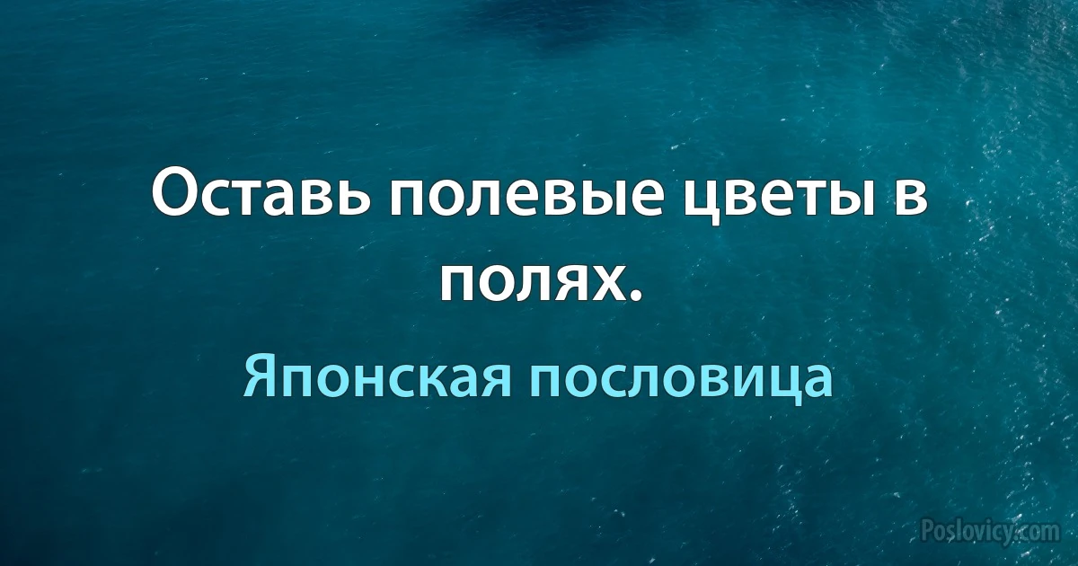 Оставь полевые цветы в полях. (Японская пословица)