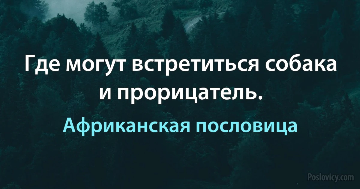 Где могут встретиться собака и прорицатель. (Африканская пословица)