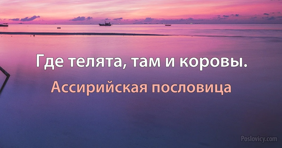 Где телята, там и коровы. (Ассирийская пословица)