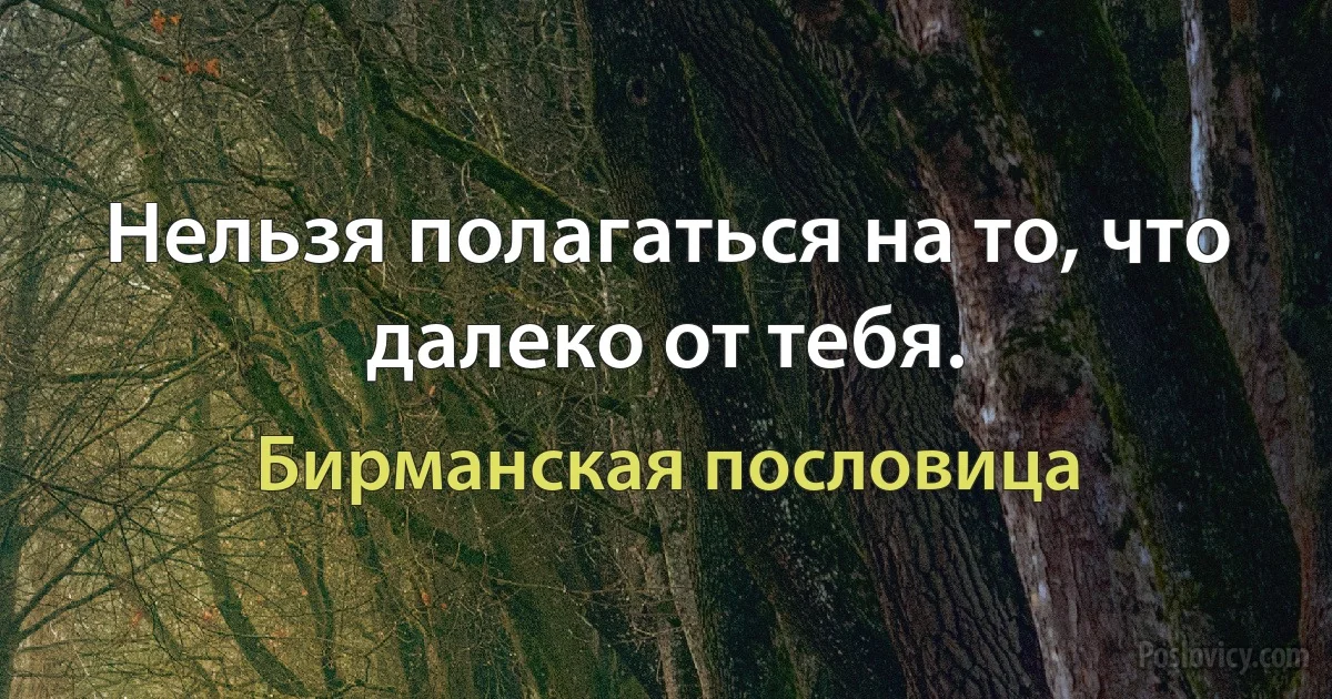 Нельзя полагаться на то, что далеко от тебя. (Бирманская пословица)