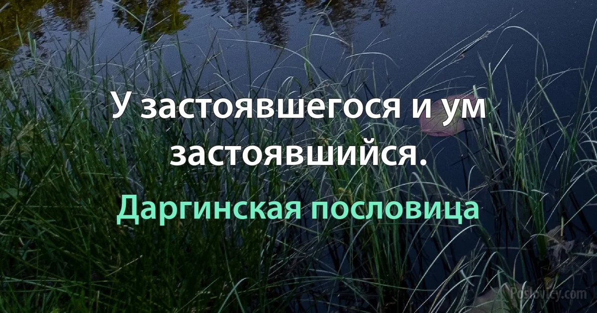 У застоявшегося и ум застоявшийся. (Даргинская пословица)