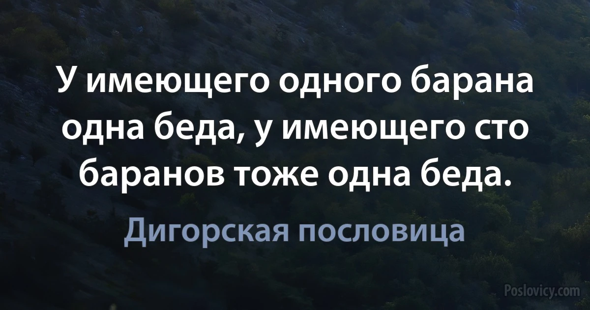 У имеющего одного барана одна беда, у имеющего сто баранов тоже одна беда. (Дигорская пословица)